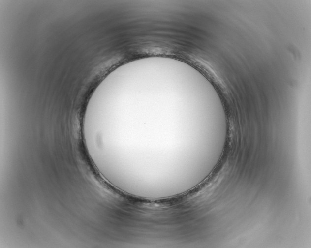 X0000111600453200907161217