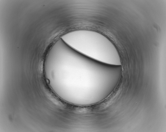 X0000111600454200907161217
