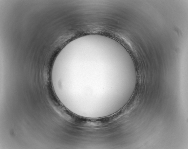 X0000111600455200907161217