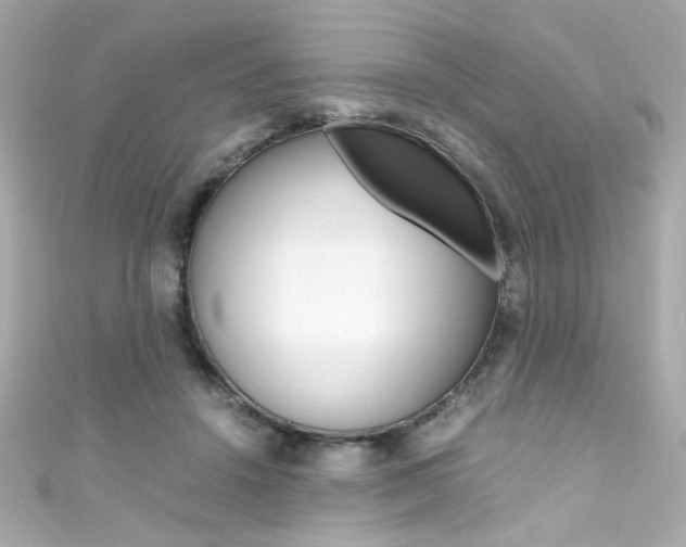 X0000111600456200907161217