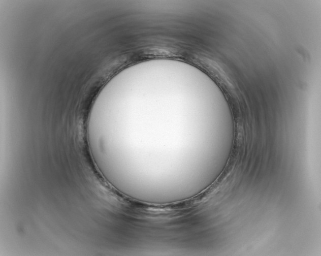X0000111600457200907161217