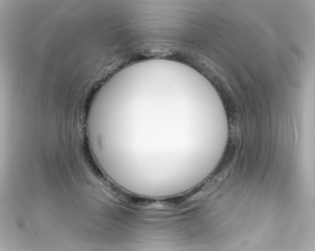 X0000111600460200907161218