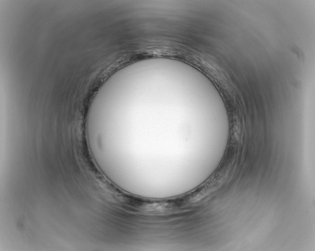 X0000111600461200907161218