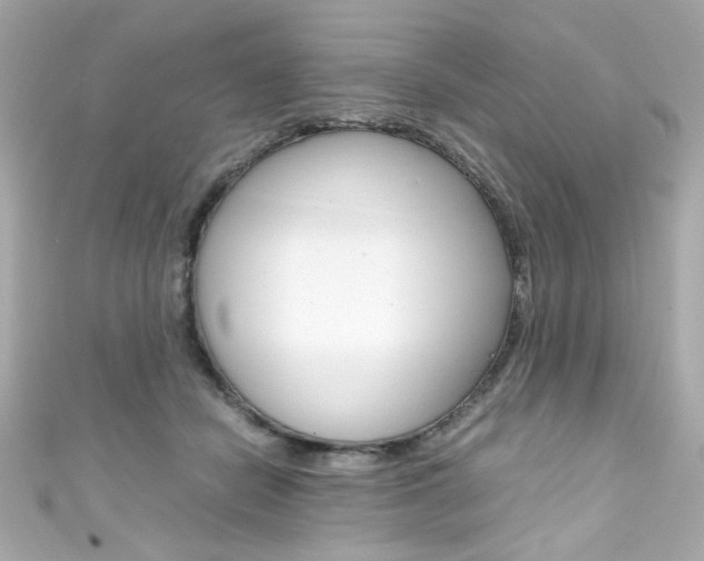X0000111600462200907161218