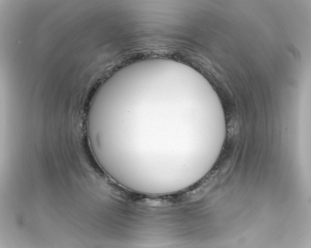 X0000111600464200907161218