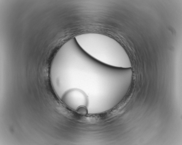X0000111600466200907161218