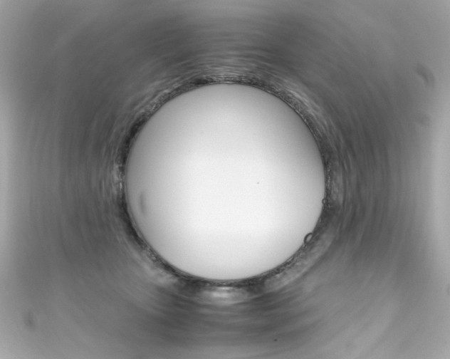 X0000111600467200907161218