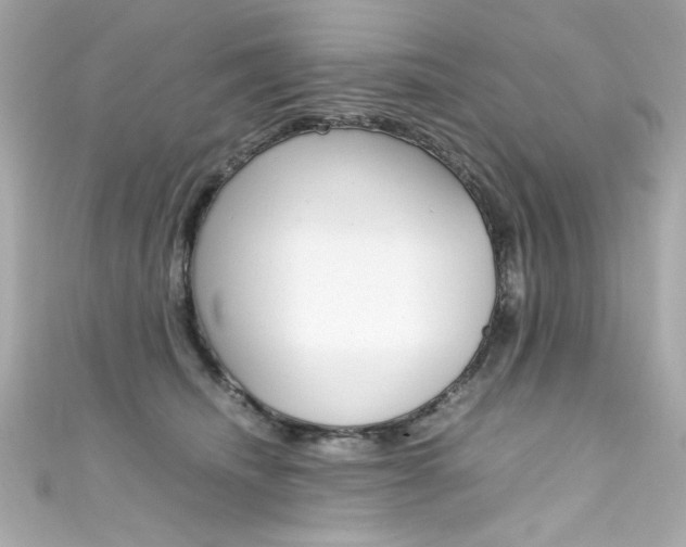 X0000111600468200907161218