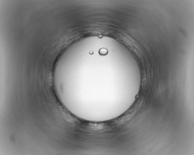 X0000111600469200907161218