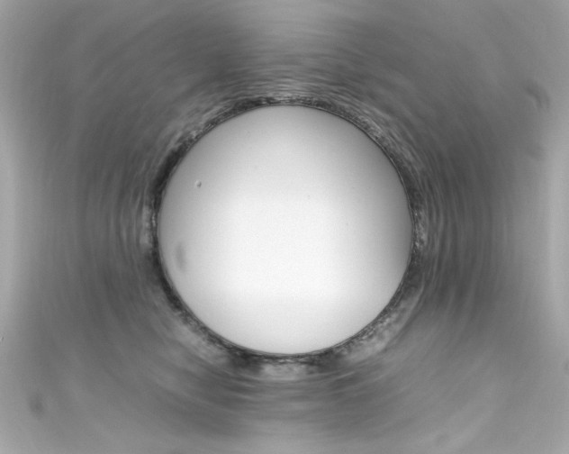 X0000111600470200907161218
