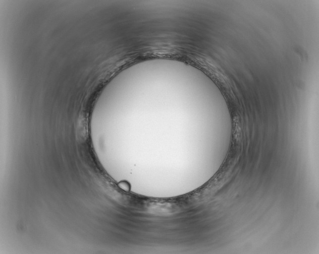 X0000111600471200907161218