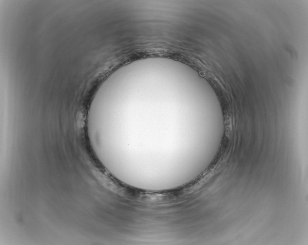 X0000111600472200907161218
