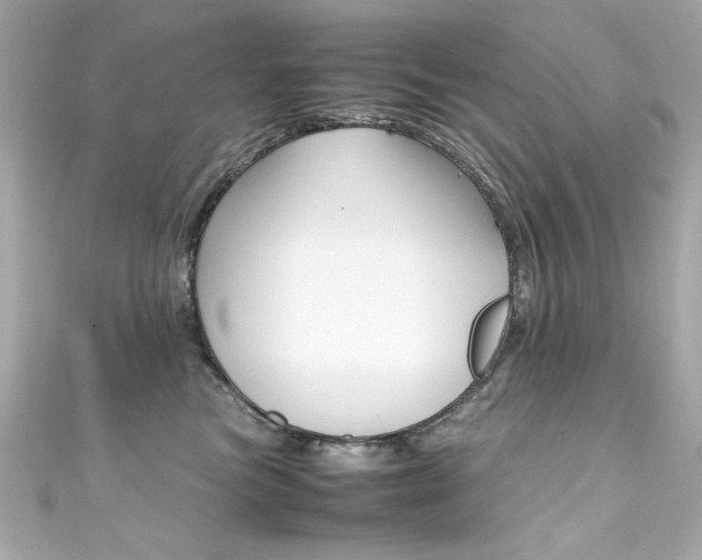 X0000111600473200907161218