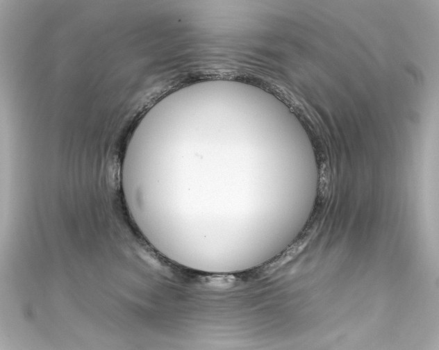 X0000111600474200907161218