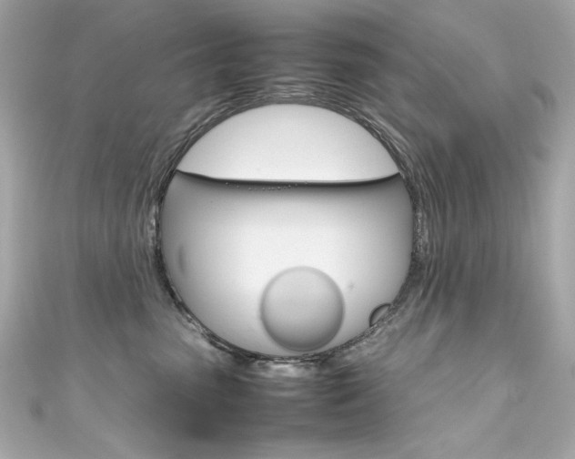 X0000111600475200907161218