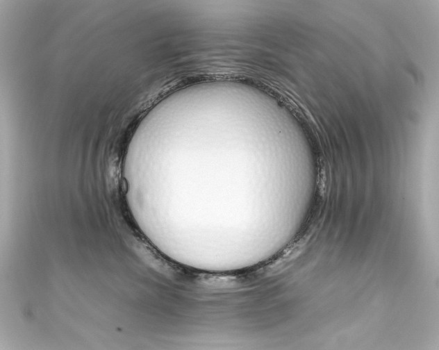 X0000111600476200907161218