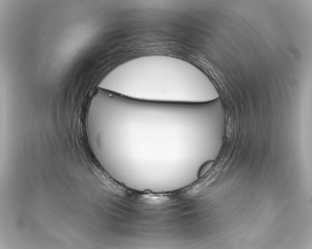 X0000111600477200907161218
