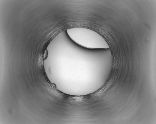X0000111600478200907161218