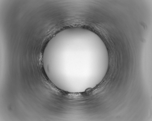 X0000111600480200907161218