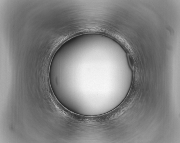 X0000111600481200907161217