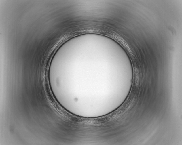 X0000111600482200907161217