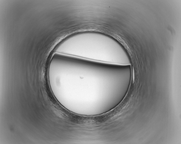 X0000111600483200907161217