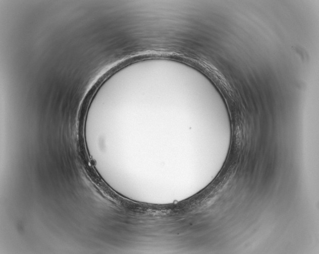 X0000111600484200907161217