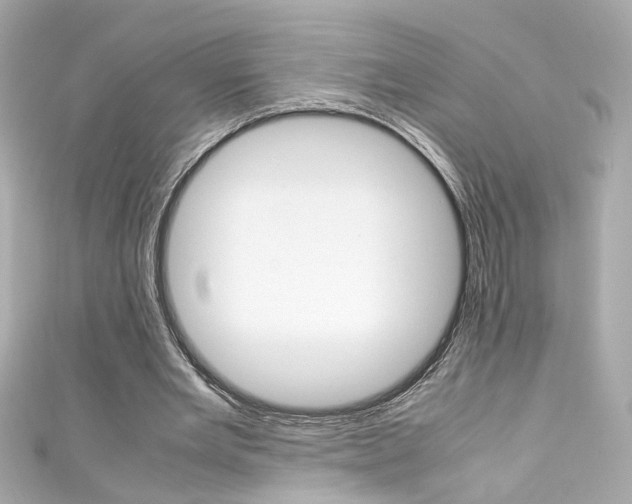 X0000111600485200907161217