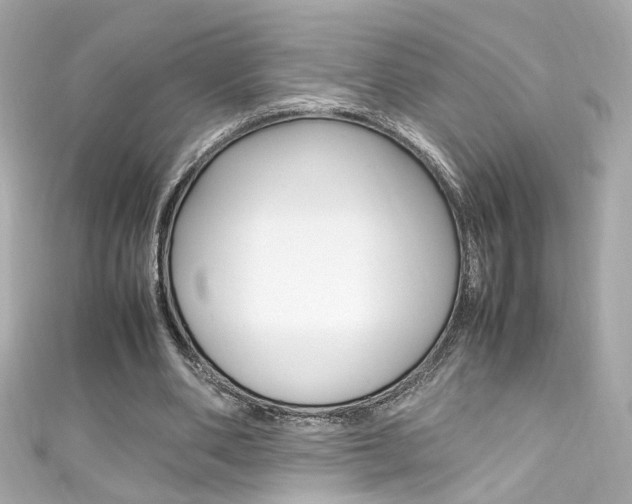 X0000111600486200907161217