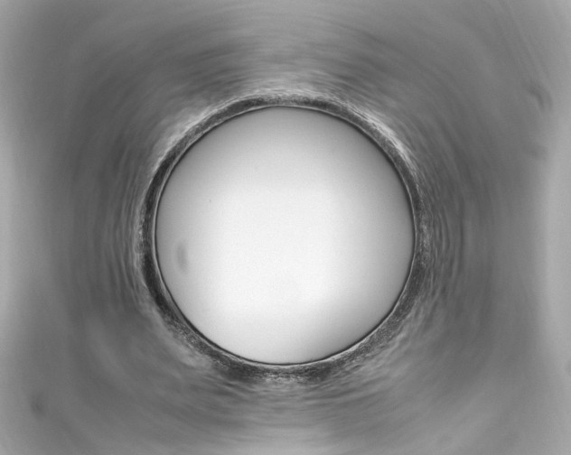 X0000111600487200907161217