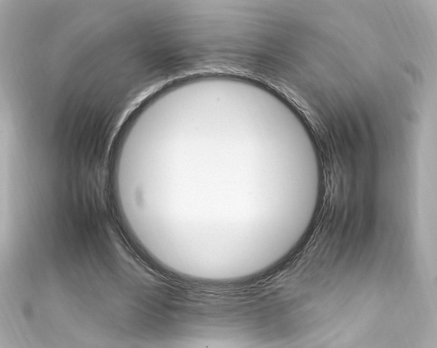 X0000111600488200907161217