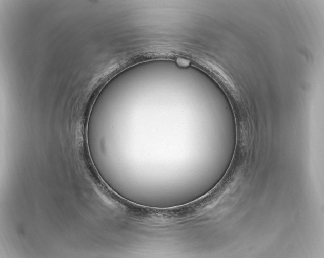 X0000111600489200907161217