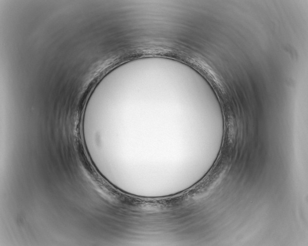X0000111600490200907161217