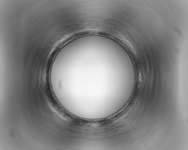X0000111600492200907161217