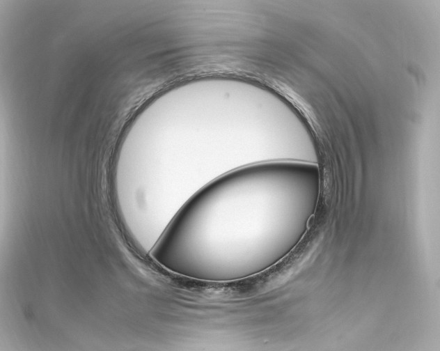 X0000111600493200907161217