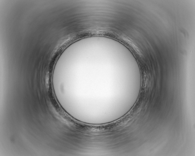 X0000111600494200907161217