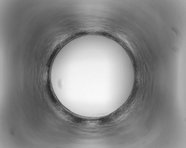 X0000111600495200907161217