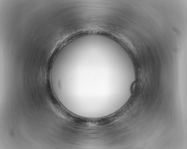 X0000111600496200907161217