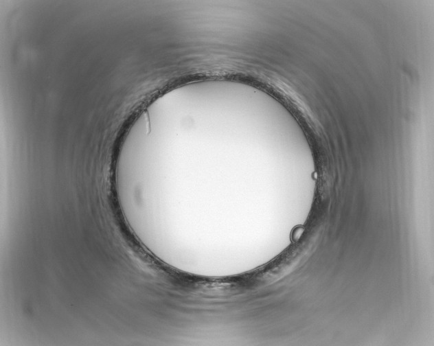 X0000111600497200907161217