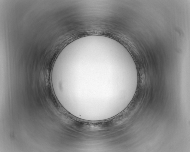 X0000111600498200907161217
