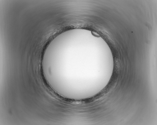 X0000111600499200907161217