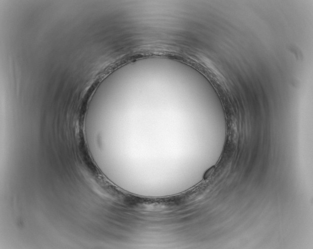 X0000111600500200907161217