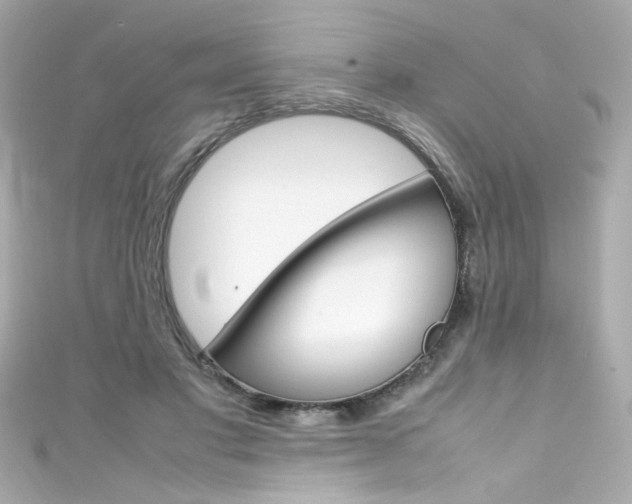X0000111600501200907161217