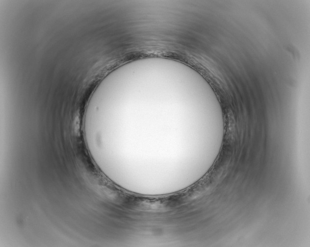 X0000111600502200907161217