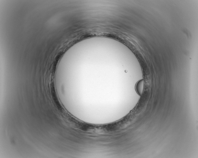 X0000111600503200907161217