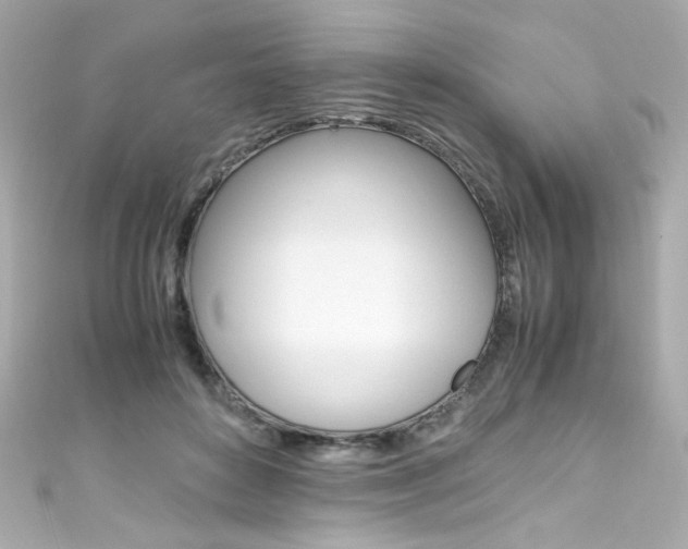 X0000111600504200907161217
