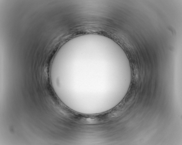 X0000111600506200907161216