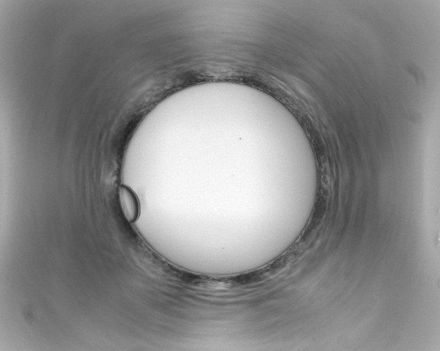 X0000111600507200907161216