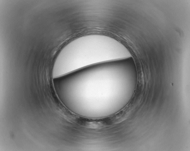 X0000111600508200907161216