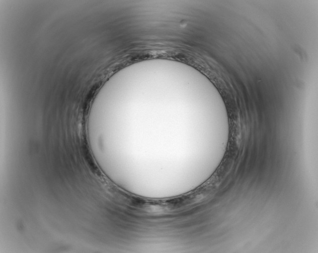 X0000111600510200907161216
